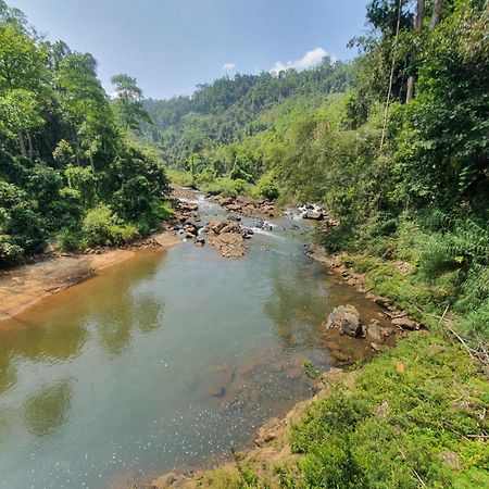 Rainforest River Bay Deniyaya Eksteriør bilde