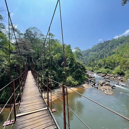 Rainforest River Bay Deniyaya Eksteriør bilde