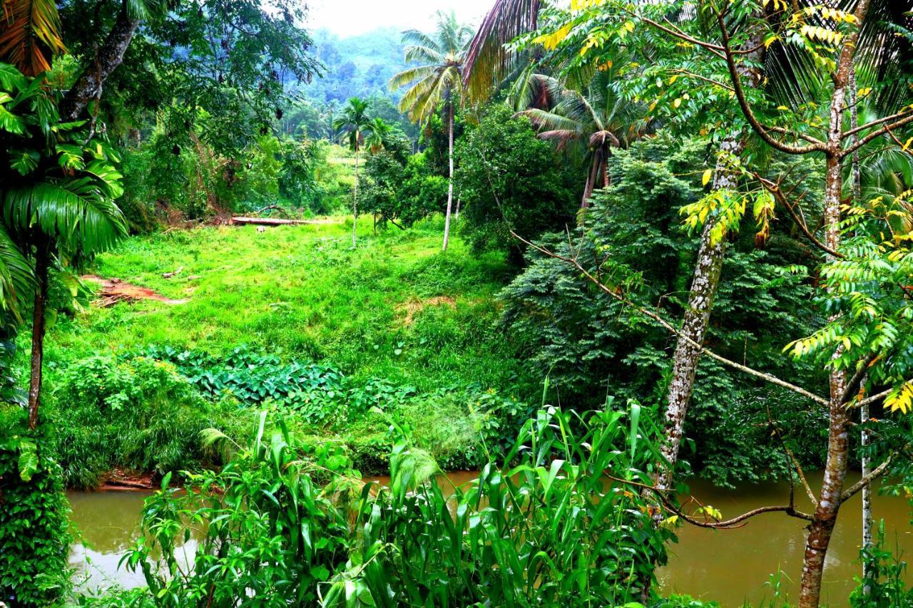 Rainforest River Bay Deniyaya Eksteriør bilde