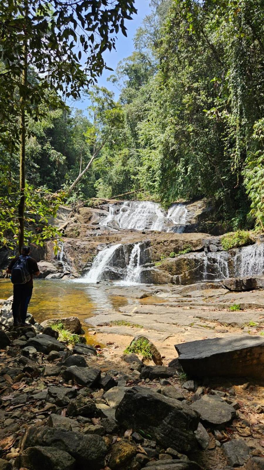 Rainforest River Bay Deniyaya Eksteriør bilde